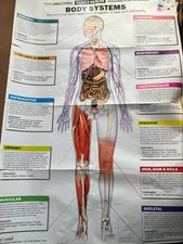 the times family health body systems+first aid Human Anatomy Map Wall Poster
