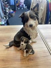 Border Collie With Puppy Country Artists