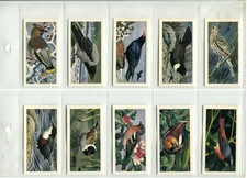 Wild Birds In Britain (Black Back) 1973 Brooke Bond Tea Cards - Set of 50 Cards