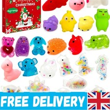 Kids Fidget Toys Advent