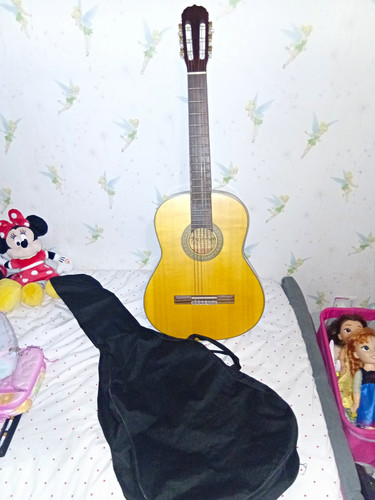 Freshman fa100c guitar - fa100c,
