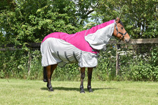 Horse Fly Rug 2 in 1
