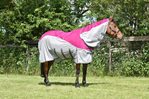 Horse fly rug - horse,