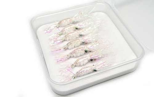 Bass bone fish - bass, salmon