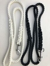 Horse, animal, show, training