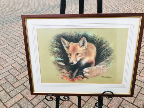 Joel kirk fox - joel, picture