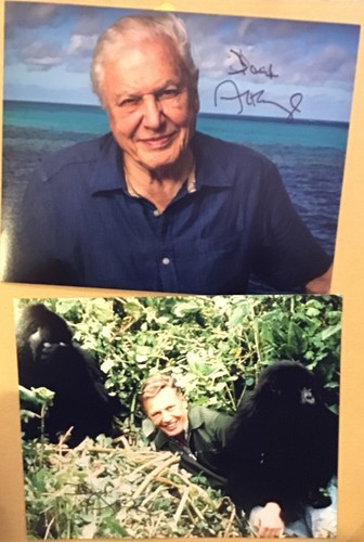 David attenborough 2 x - -,