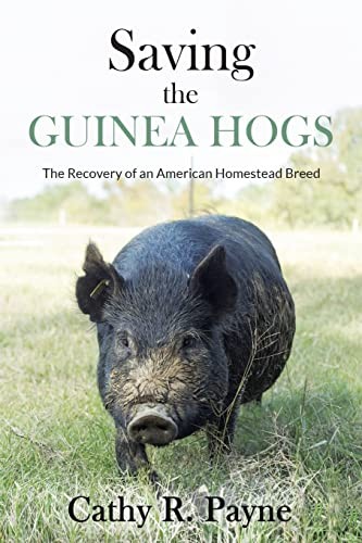 Saving the guinea - saving,
