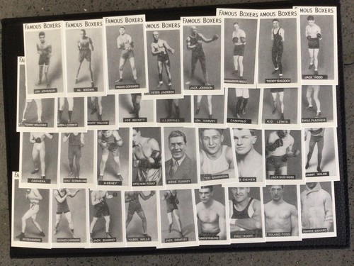 Famous boxers reproduction - -, boxers-