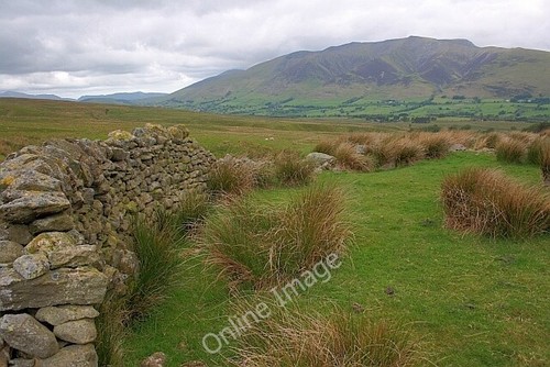 Photo 6x4 disused sheep - 6x4,