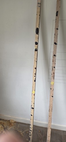 English longbow stave - english,