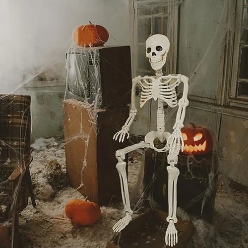 Halloween skeleton decoration - halloween,