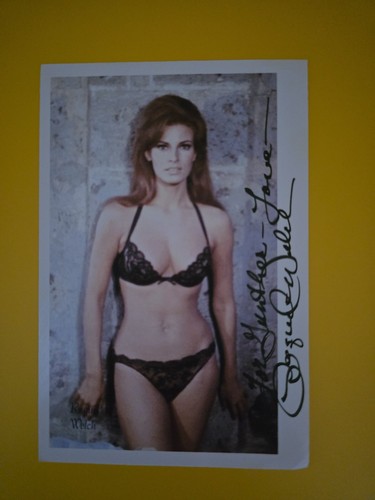 Raquel welch photo 10x15cm - raquel,