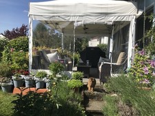 Surf & Turf 4.5m x 3m Canopro Elite Heavy Duty PopUp Gazebo Frame + 4 new Sides