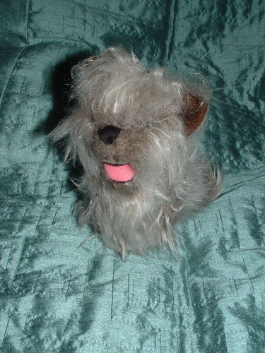 The wizard toto dog - the, of
