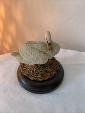 Country Artists England Swan