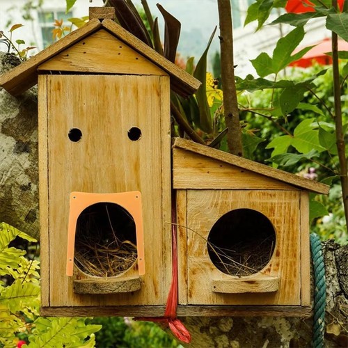 10x homing pigeon house door - pigeon,