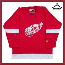 Detroit Red Wing Ice Hockey