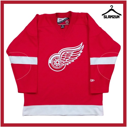 Detroit red wing ice hockey - detroit,