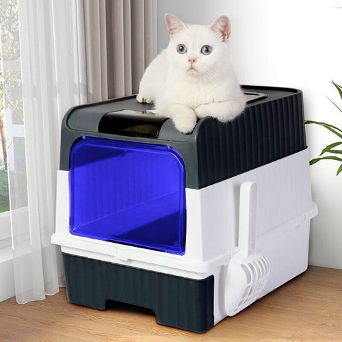 Large cat litter - large,