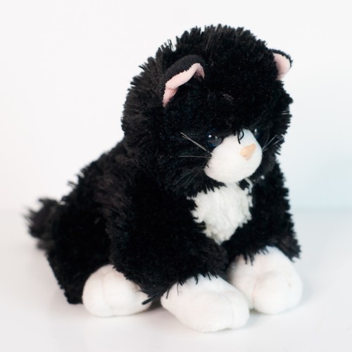 Classic lexie tuxedo - lexie, cat