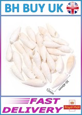 40g AQUARIUM SNAIL SHELLS