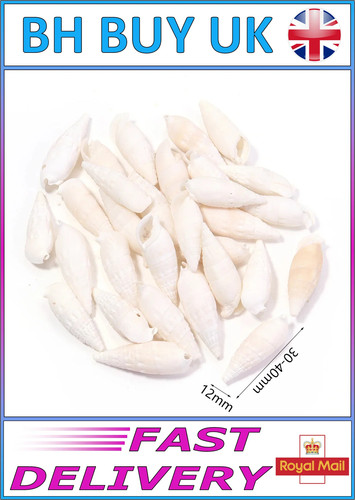 40g aquarium snail shells - 40g,