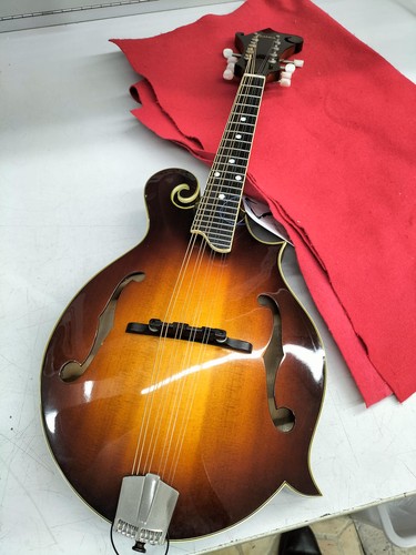 Eastman 515 mandolin - eastman,