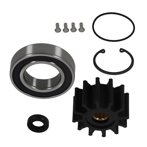 Raw sea water pump rebuild - raw,