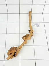 Premium Aquarium Natural Sava