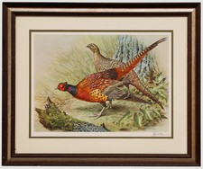 Basil Ede (1931-2016) - 20th