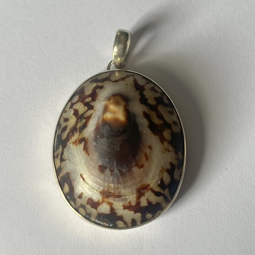 Sterling silver cowrie shell - silver,
