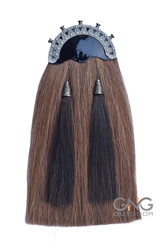 Scottish brown horse - scottish, hair