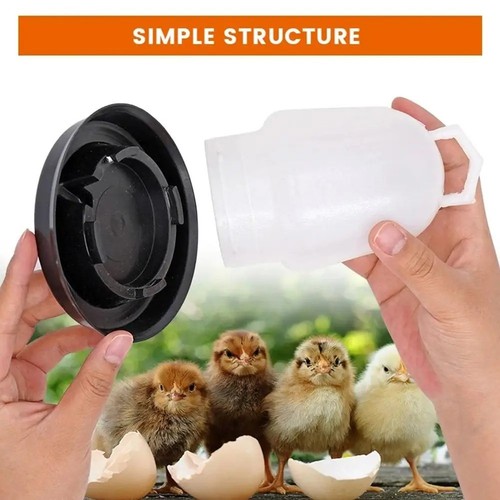 Bird drinking bowl water - drinking,