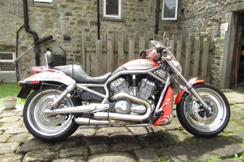 Harley davidson vrscx - vrscx, screamin