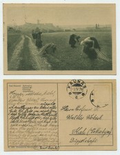 85908 - Paul Hommel: ear