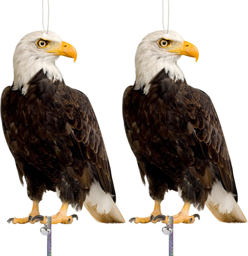 Hawk bird scarer pigeon - hawk,