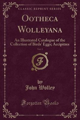 Ootheca wolleyana vol an - ootheca, wolleyana,