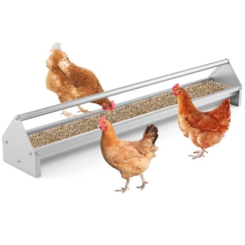 Chicken feeding trough - chicken,