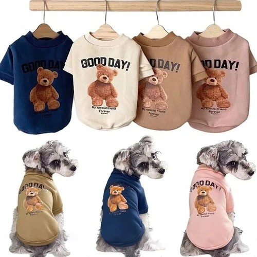 Cute bear dog sweater - cute,
