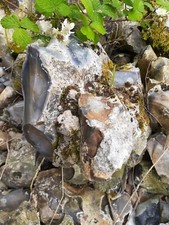 Large Pile Of Flints Stones gabions garden landscaping Knapping?