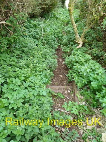 Photo narrow gauge - photo,