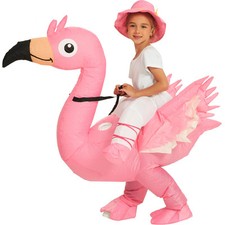 Inflatable Flamingo Costume