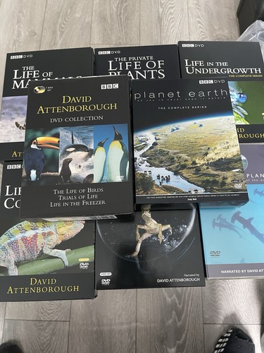 David attenborough dvd - attenborough, bundle