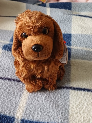 Beanie baby seadog - beanie,