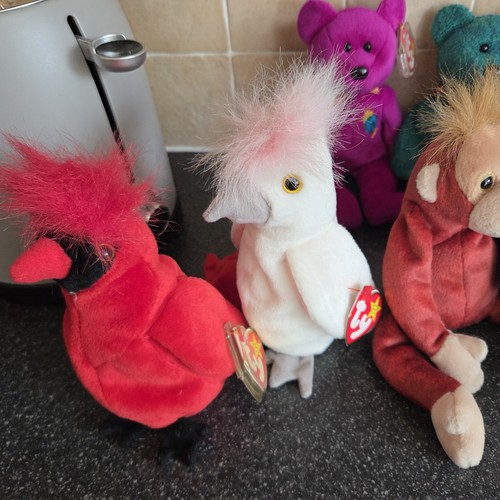 Beanie baby kuku the - baby,