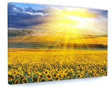Sunflowers Canvas Picture