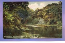  1913c FISHPOND BURNHAM BEECHES BUCKINGHAMSHIRE GWR RAILWAY VINTAGE POSTCARD 