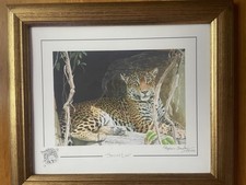 STEPHEN GAYFORD LIMITED