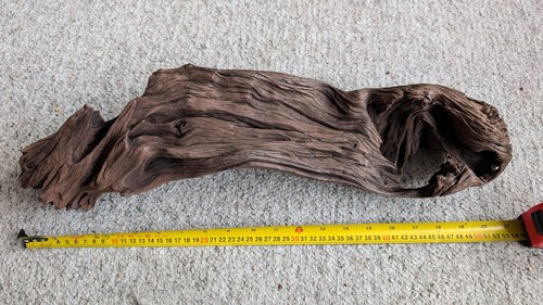 Large drift wood 21 - drift,